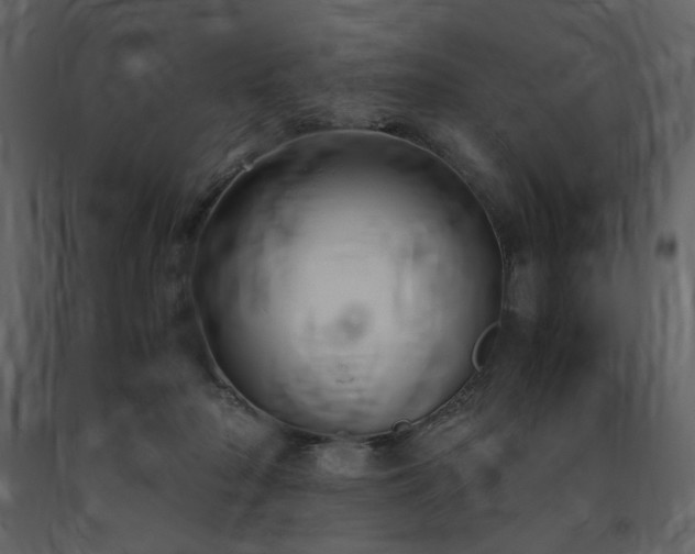 X0000091660318200708231312