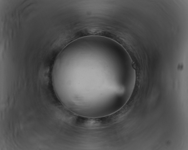 X0000091660319200708231312