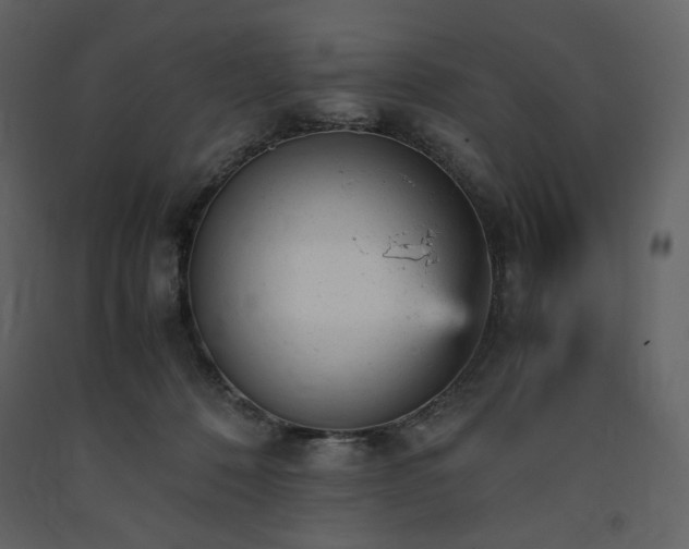 X0000091660320200708231312