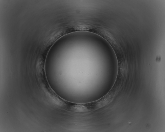 X0000091660322200708231312