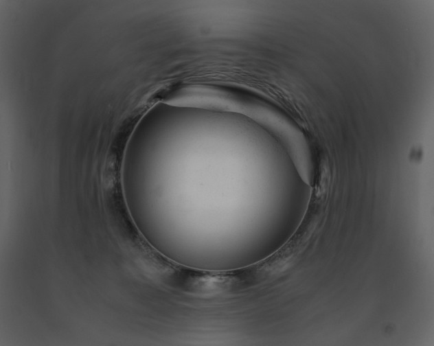 X0000091660323200708231312