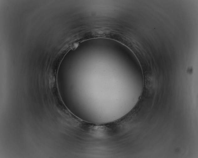 X0000091660324200708231312