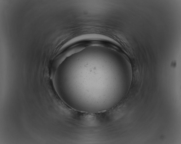 X0000091660325200708231312