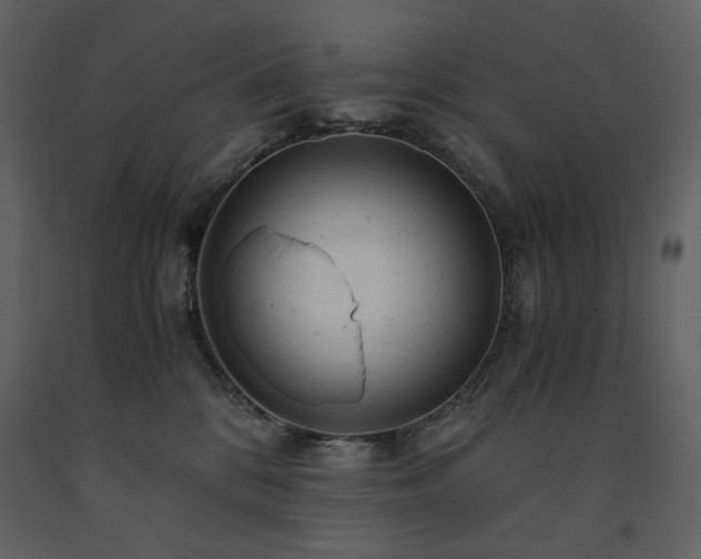 X0000091660328200708231312