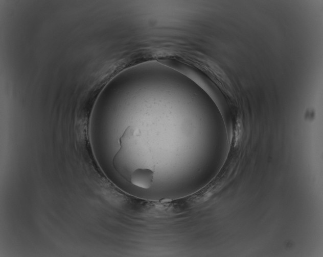 X0000091660329200708231312