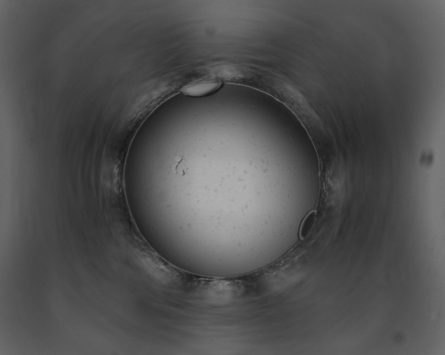 X0000091660330200708231312