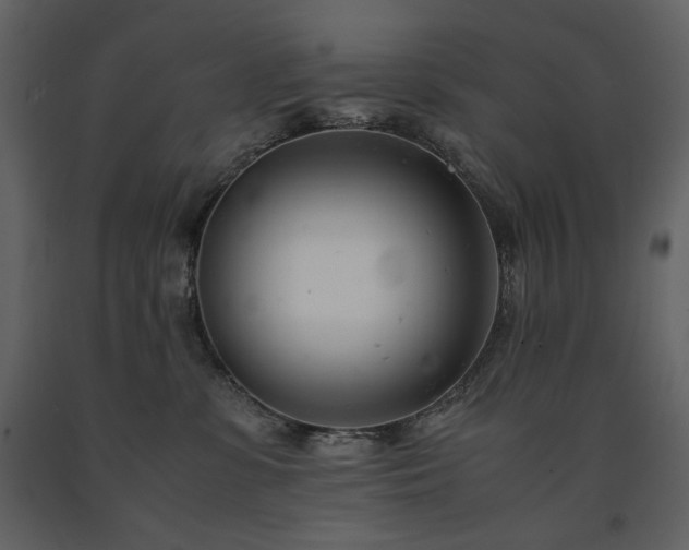 X0000091660331200708231312
