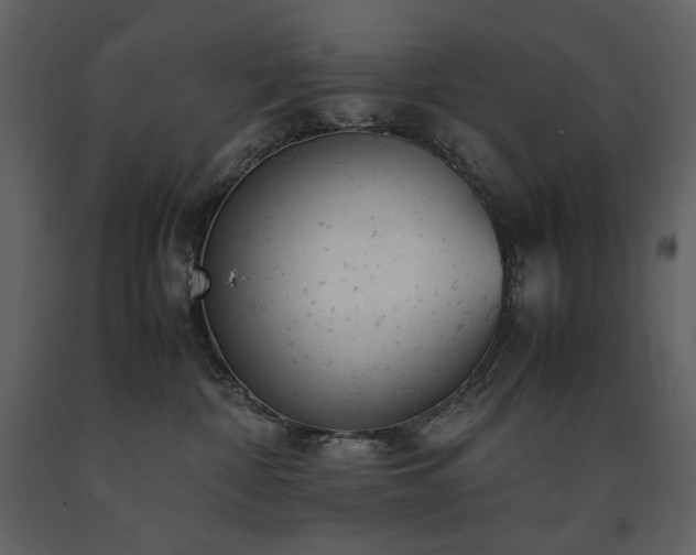 X0000091660332200708231312