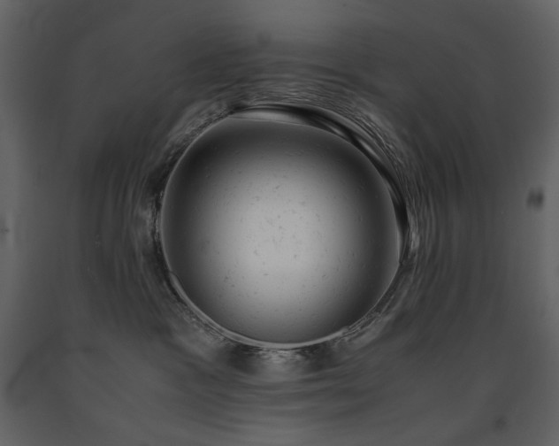 X0000091660333200708231312