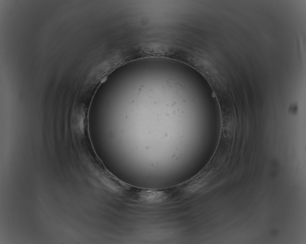 X0000091660334200708231312