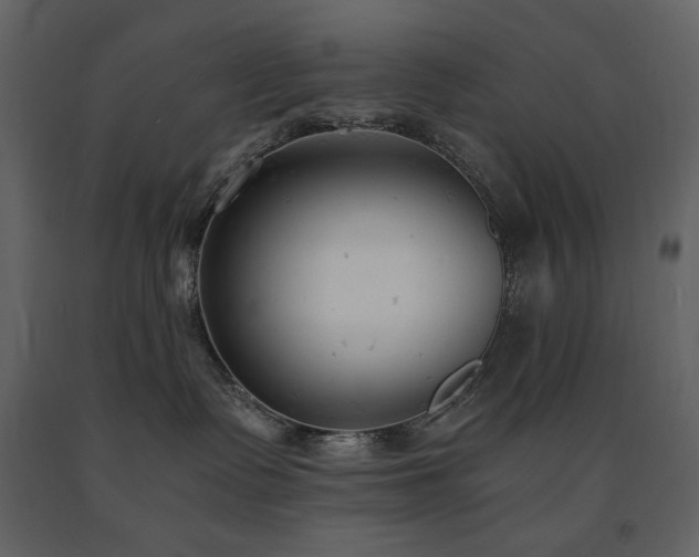 X0000091660335200708231312