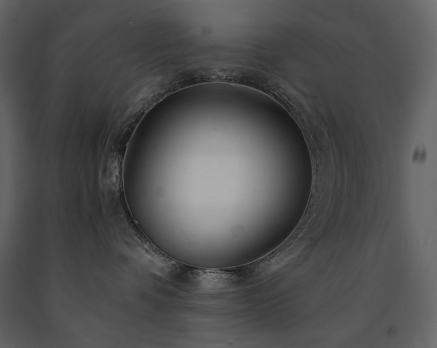X0000091660336200708231312