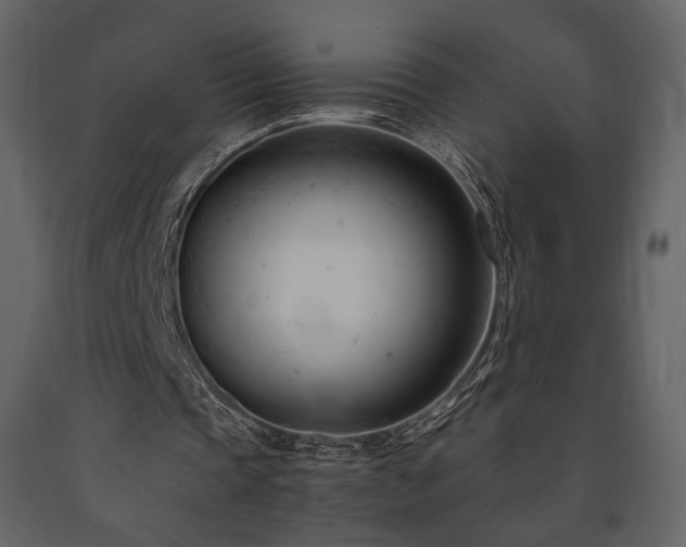 X0000091660337200708231311