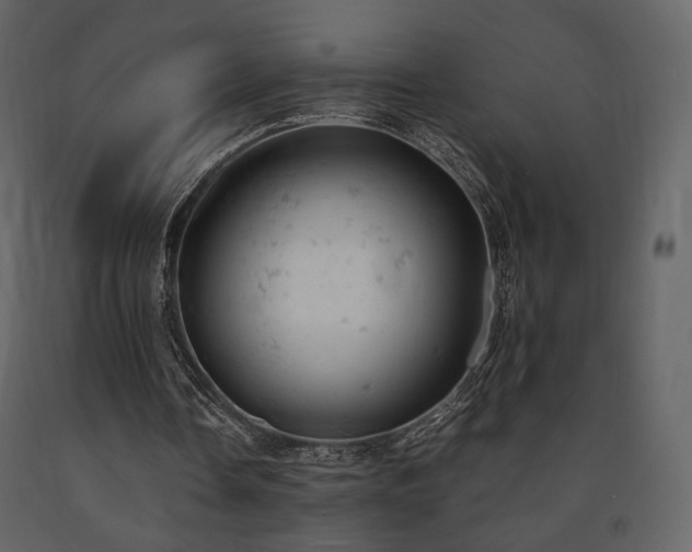 X0000091660338200708231311