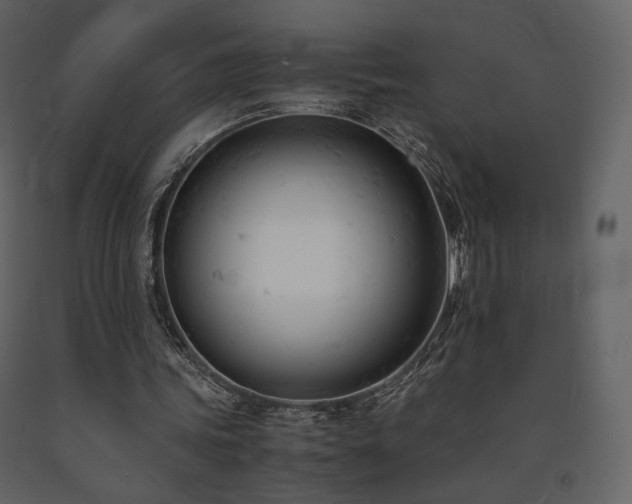 X0000091660339200708231311