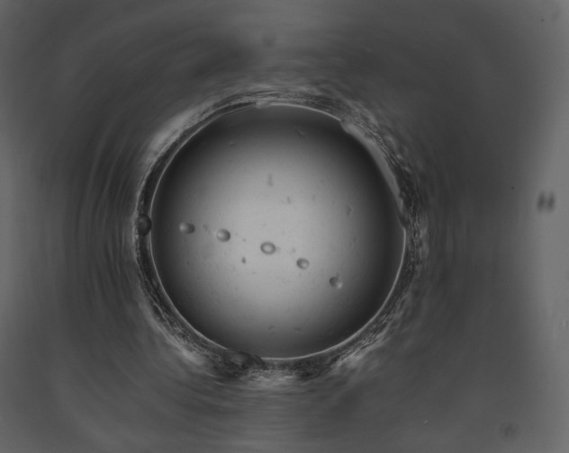 X0000091660340200708231311