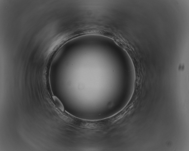 X0000091660341200708231311