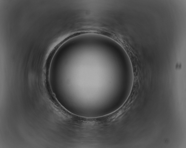 X0000091660342200708231311