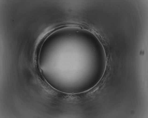 X0000091660343200708231311