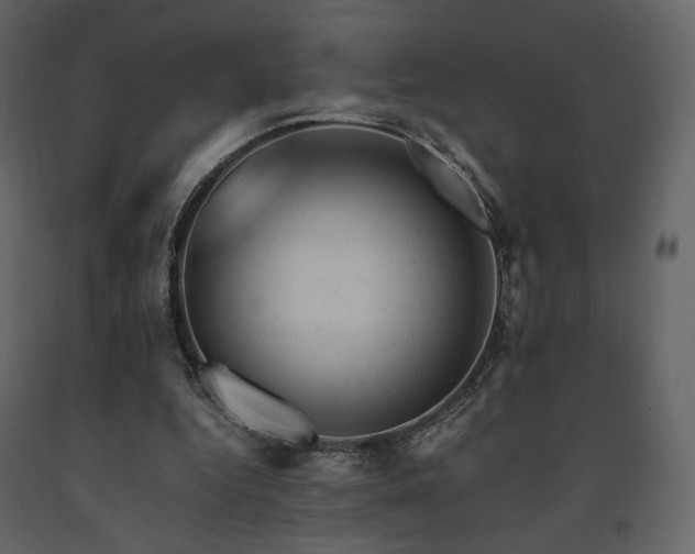 X0000091660344200708231311