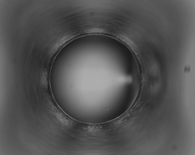 X0000091660345200708231311