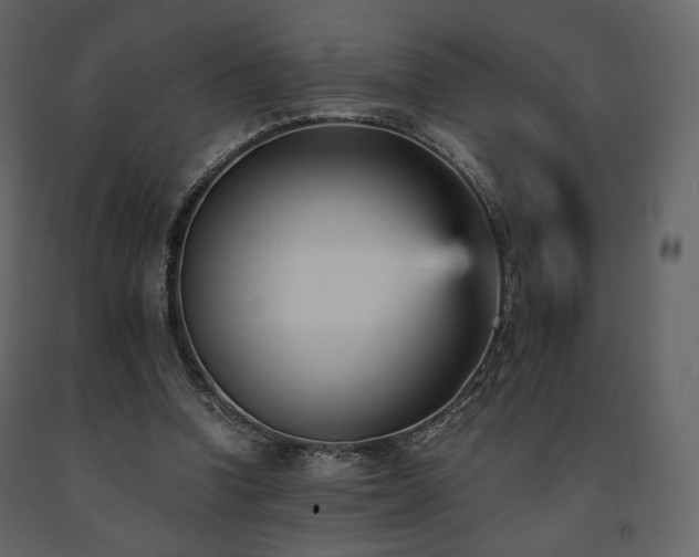 X0000091660346200708231311