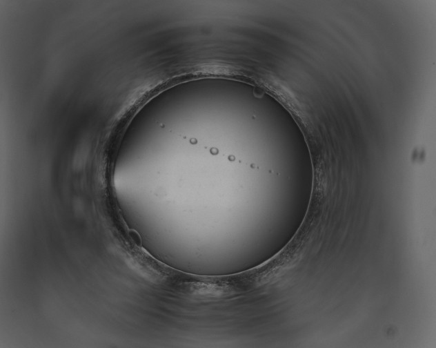 X0000091660347200708231311