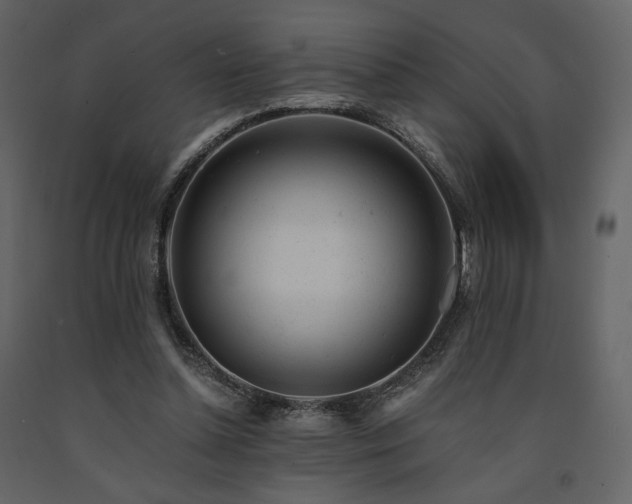 X0000091660348200708231311