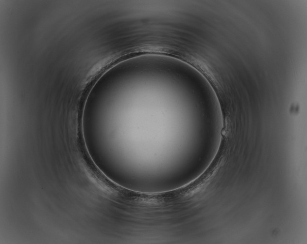 X0000091660349200708231311