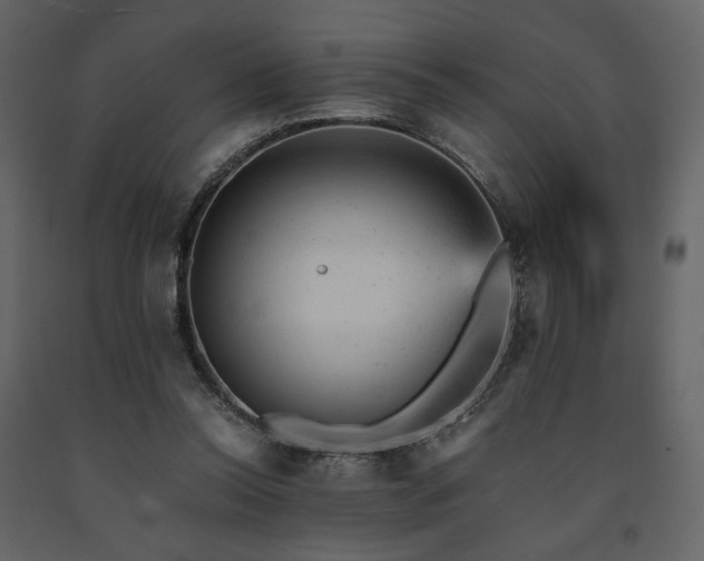 X0000091660350200708231311