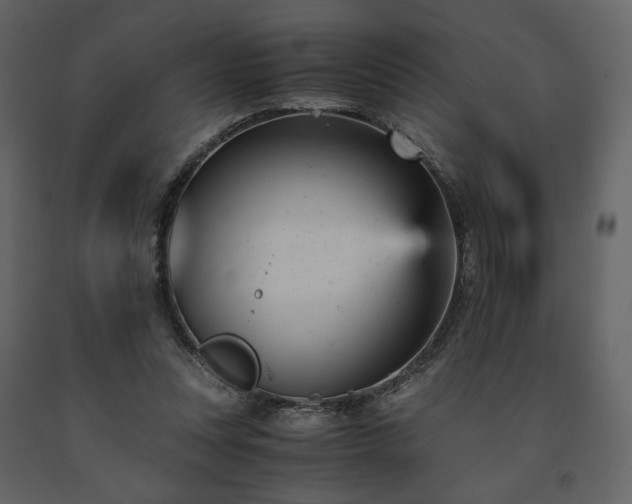 X0000091660351200708231311