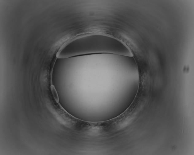 X0000091660352200708231311