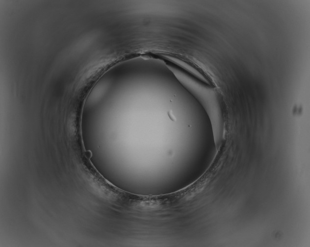 X0000091660353200708231311
