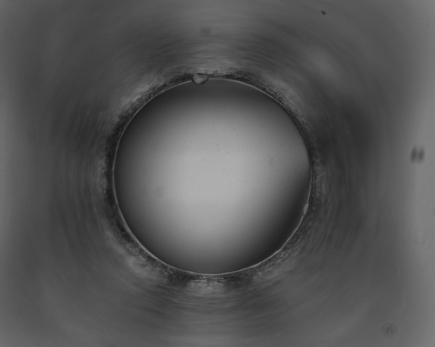 X0000091660354200708231311