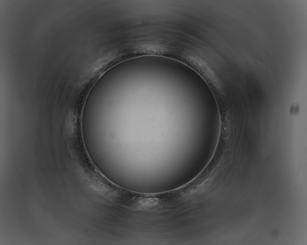 X0000091660355200708231311