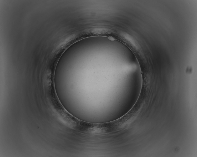 X0000091660356200708231311