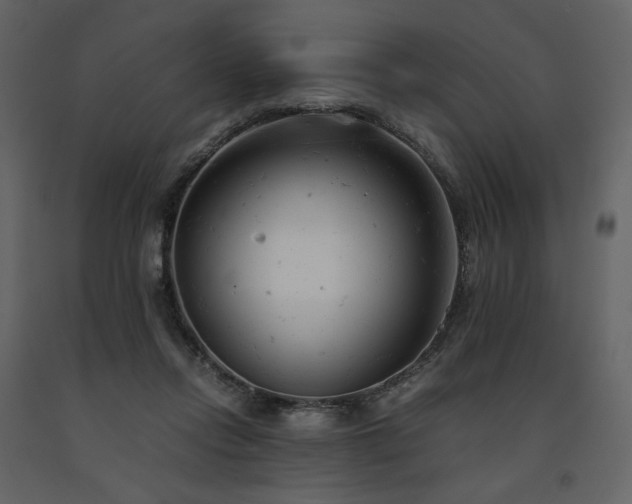 X0000091660358200708231311