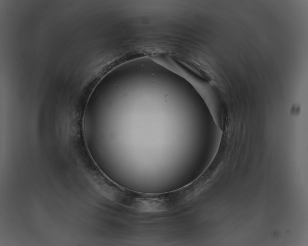 X0000091660359200708231311