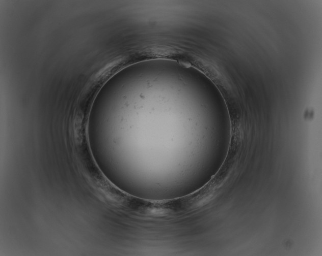X0000091660360200708231311