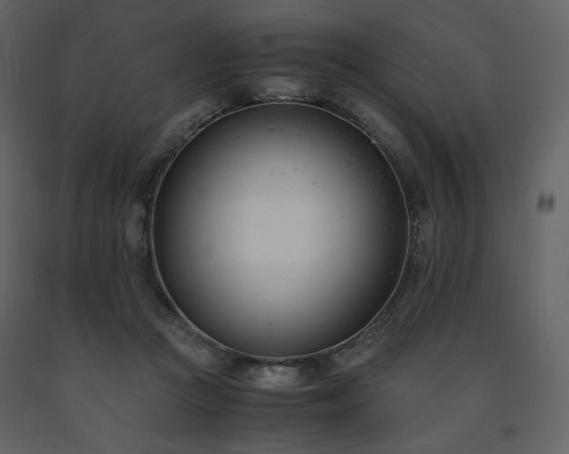 X0000091660361200708231311