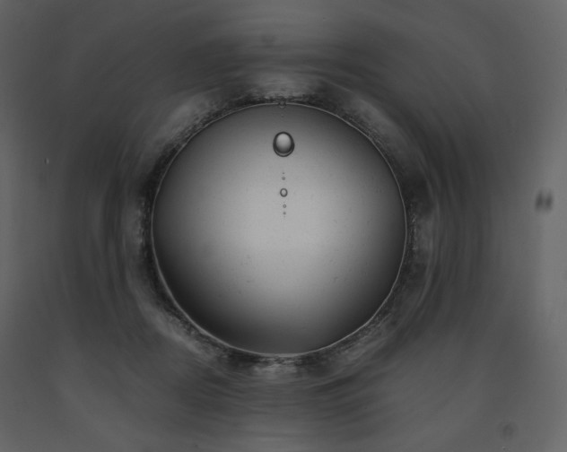 X0000091660362200708231311