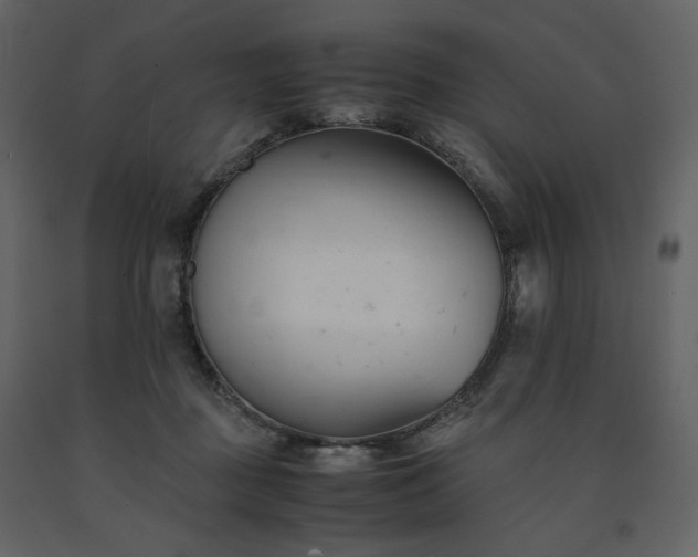 X0000091660363200708231311
