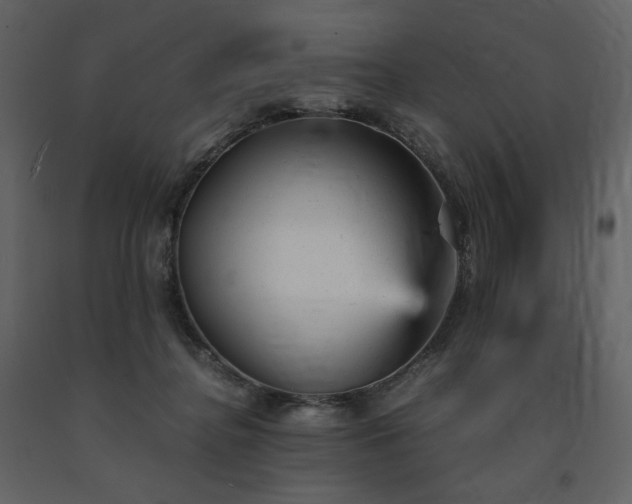 X0000091660364200708231311