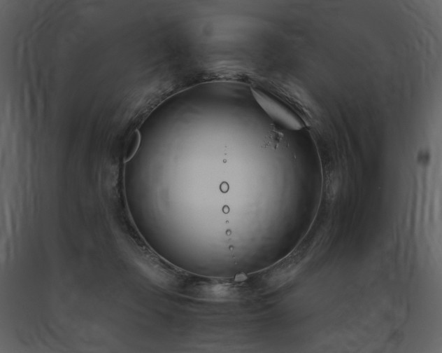 X0000091660365200708231311