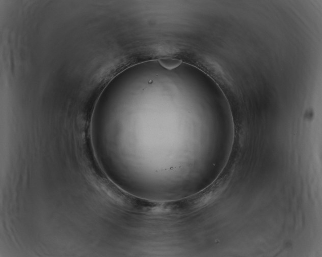 X0000091660366200708231311