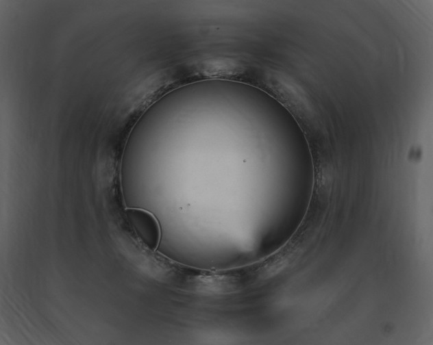 X0000091660367200708231311