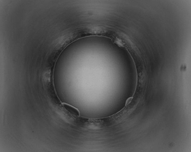 X0000091660368200708231311