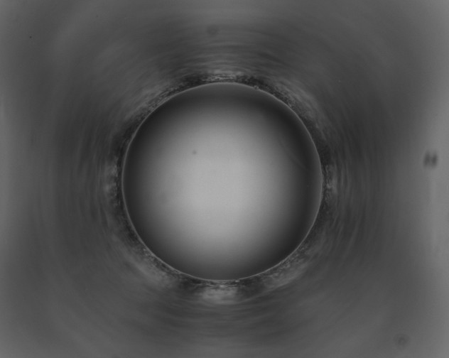 X0000091660369200708231311
