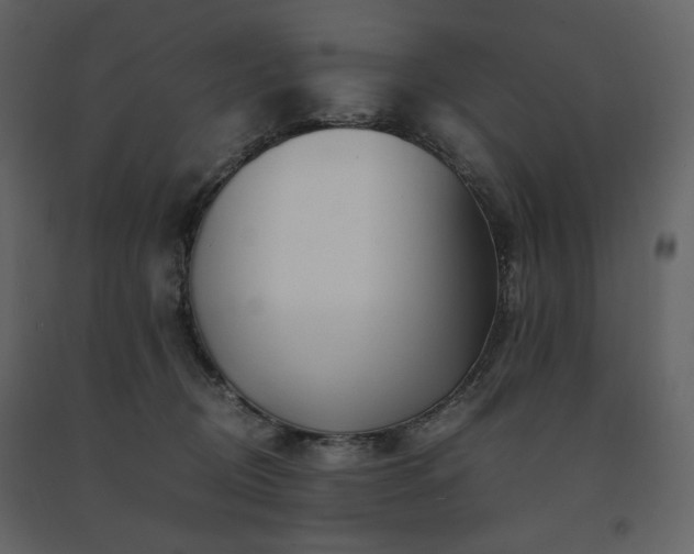 X0000091660370200708231311