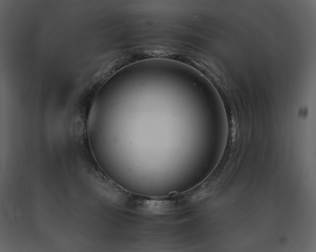 X0000091660371200708231311